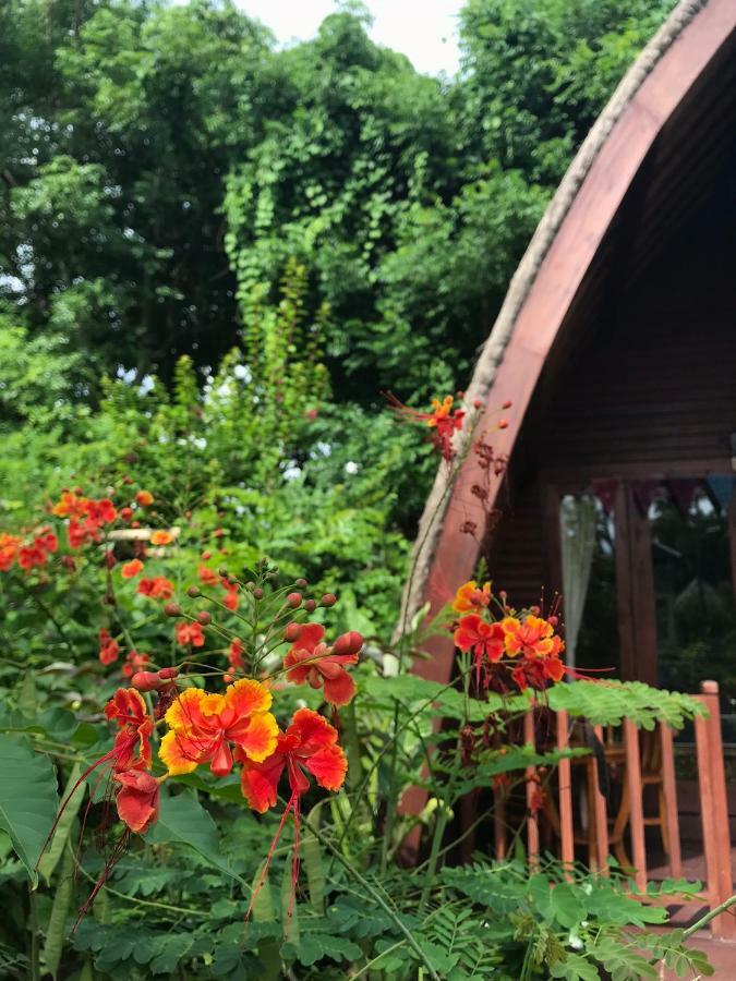 Meno Madia Bungalows Gili Meno Luaran gambar