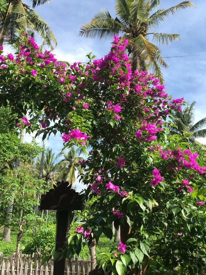Meno Madia Bungalows Gili Meno Luaran gambar