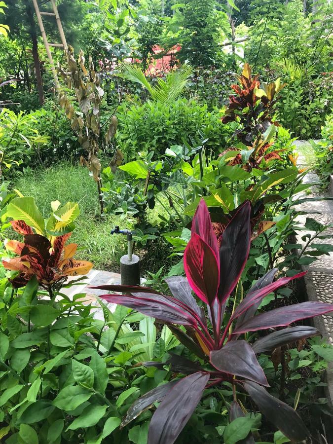 Meno Madia Bungalows Gili Meno Luaran gambar